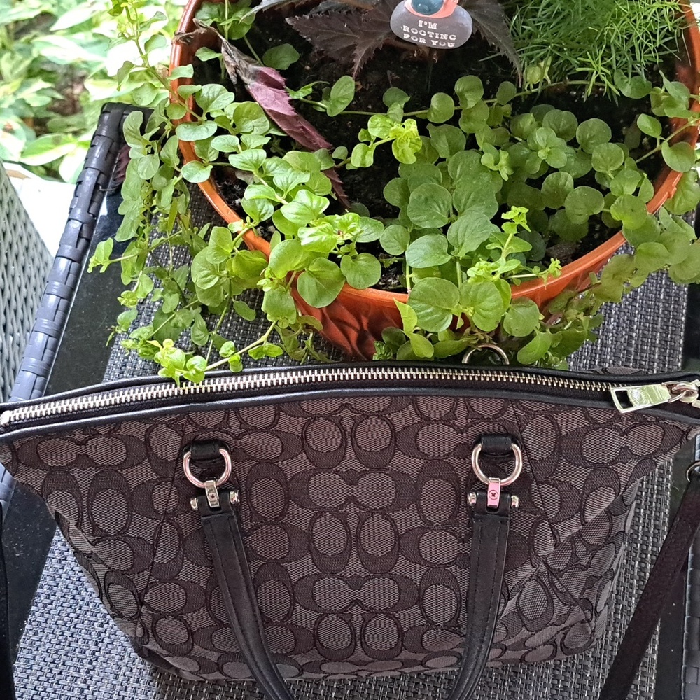 COACH Prairie 36311 Black& Gray "C" Signature, Silver Hardware EC - Picture 3 of 12